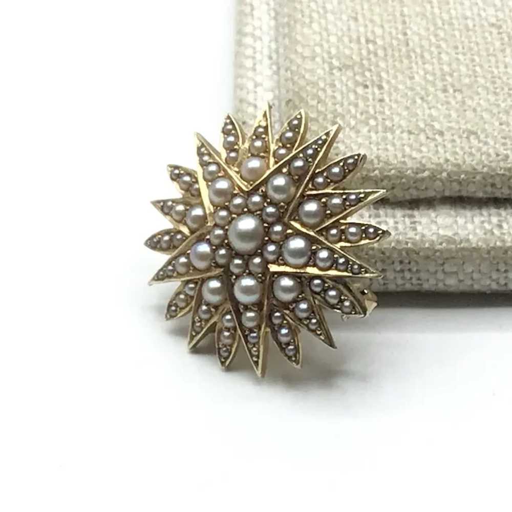 14K Yellow Gold Seed Pearl Starburst Brooch & Wat… - image 3