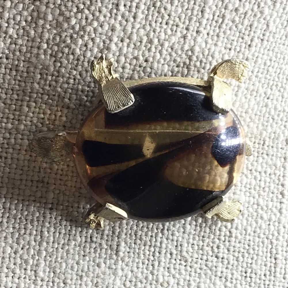 Brass & Lucite Turtle Brooch - image 4