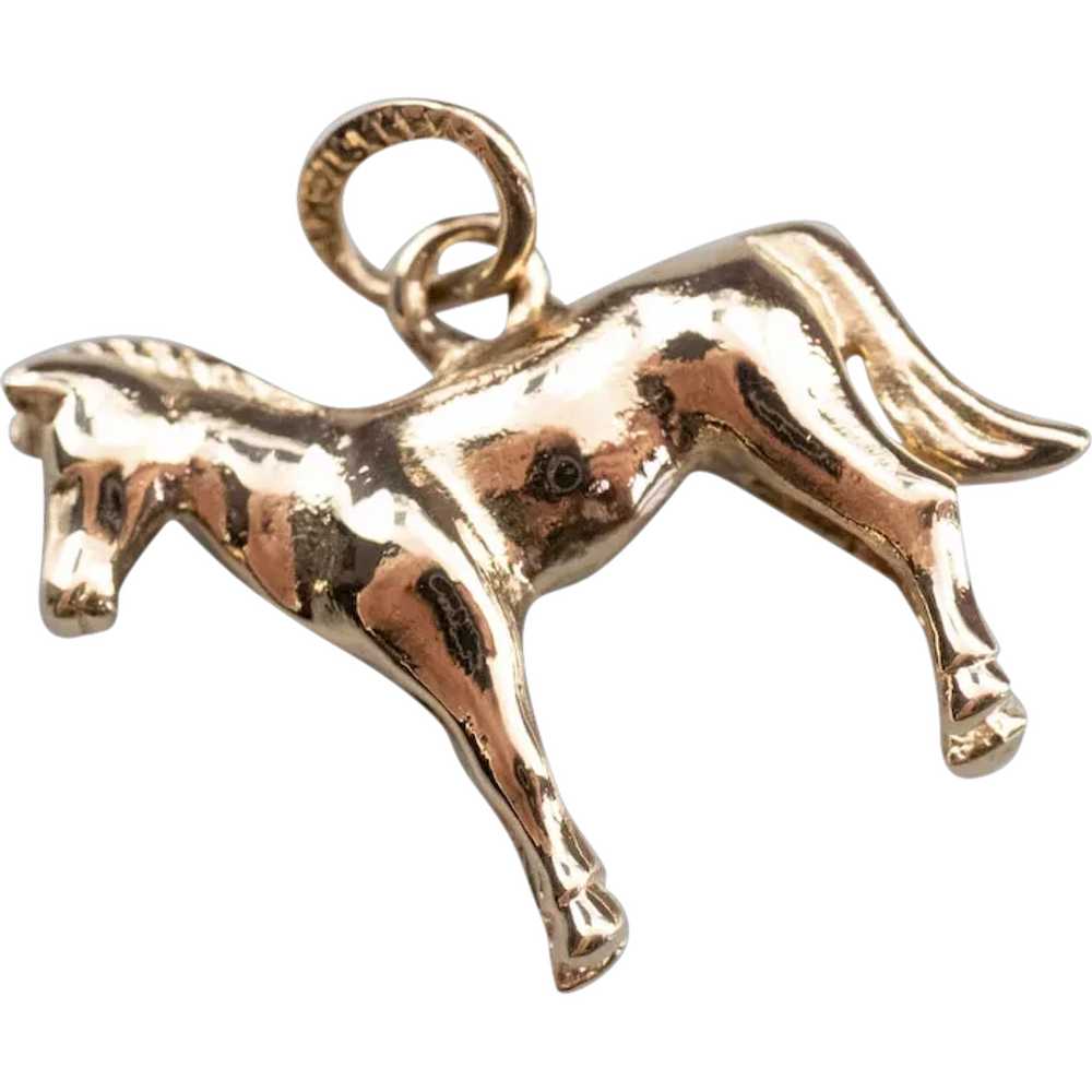 Sweet Young Horse Charm - image 1