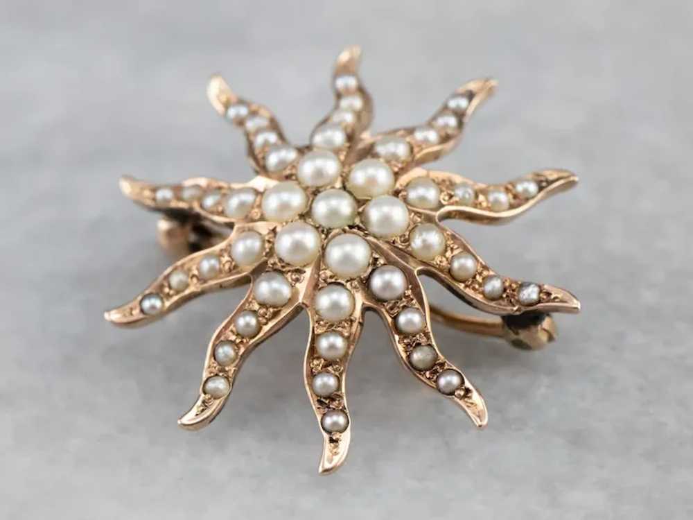 Antique Seed Pearl Brooch or Pendant - image 2