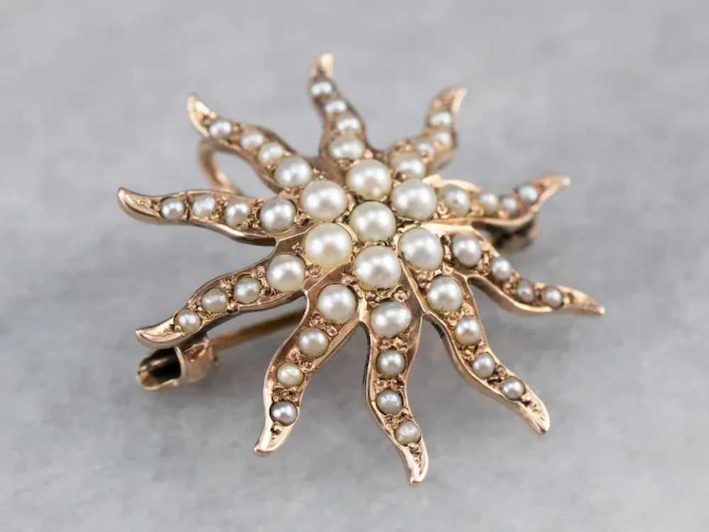 Antique Seed Pearl Brooch or Pendant - image 3