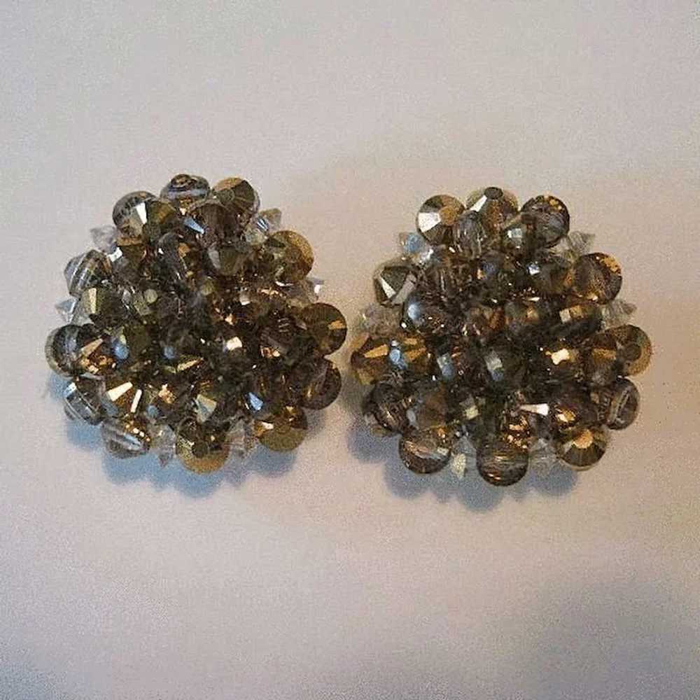 Dazzling Hobe Crystal Earrings - image 1