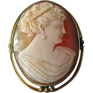 Gorgeous Shell Cameo Unusual Gold Filled Bezel / … - image 1