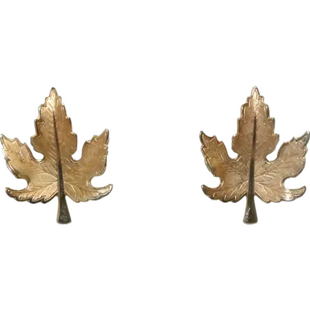 Vintage Clip On Leaf Earrings - image 1