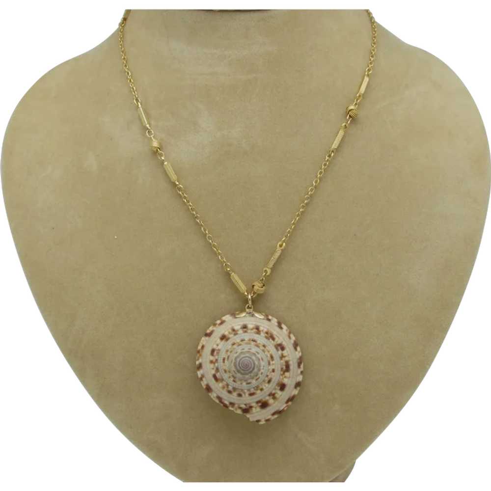 Seashell Pendant on Ornate Goldtone Metal Chain - image 1