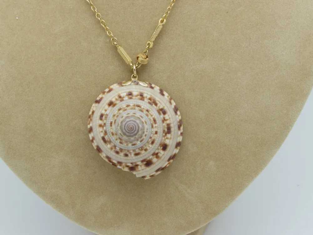 Seashell Pendant on Ornate Goldtone Metal Chain - image 2