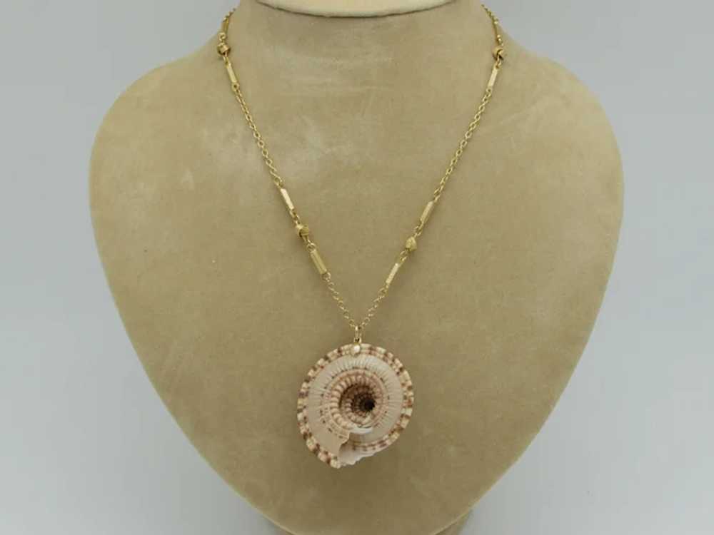 Seashell Pendant on Ornate Goldtone Metal Chain - image 4