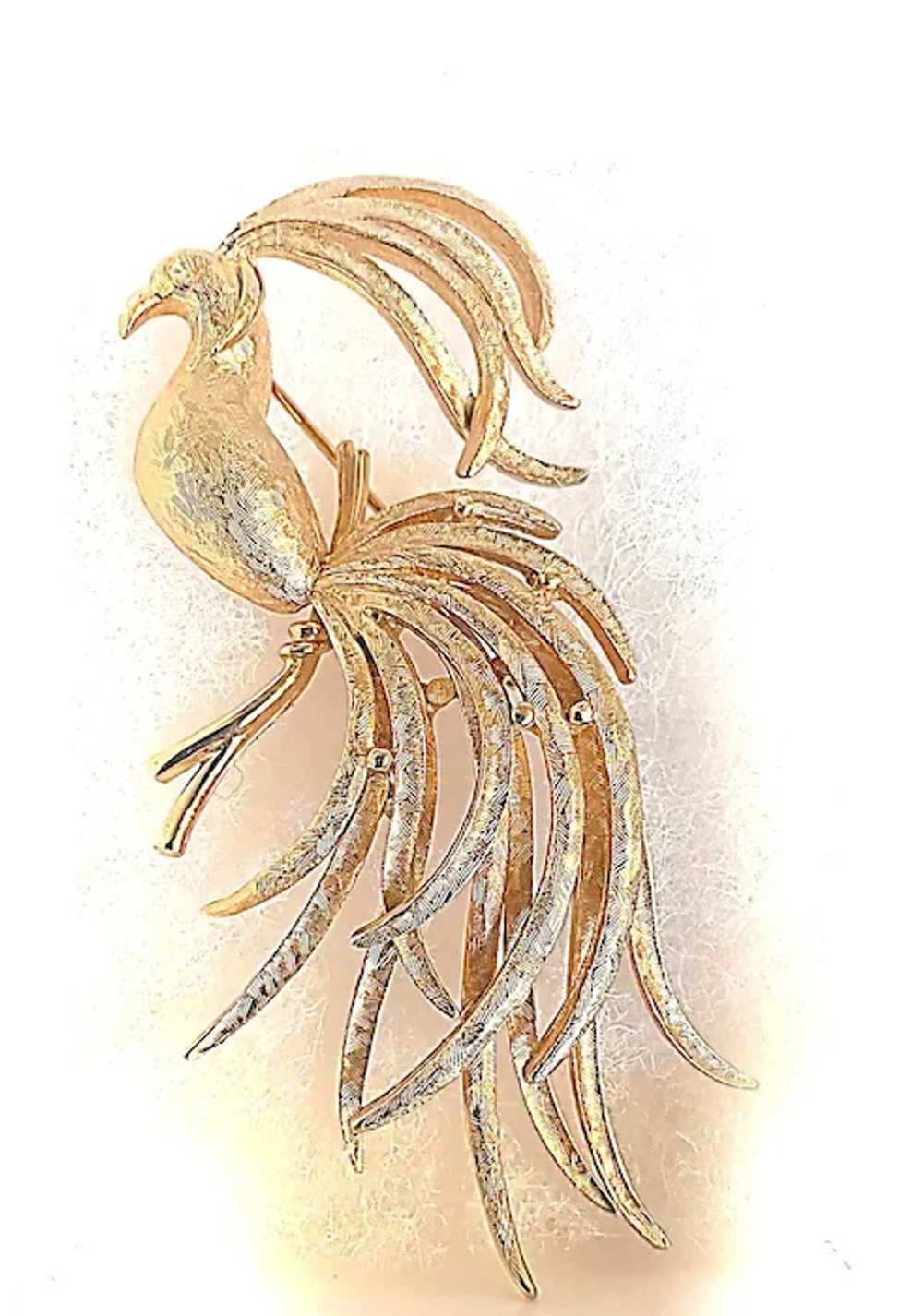 Vintage Discontinued Avon Bird of Paradise Brooch - image 2