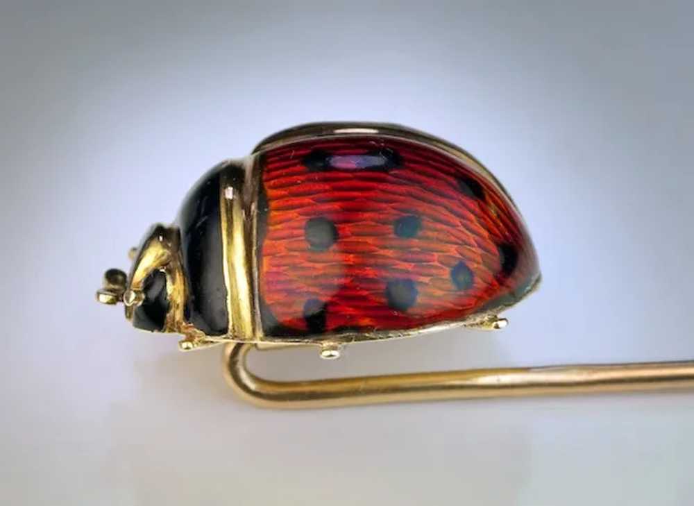 Antique Enamel and 14K Gold Ladybug Stick Pin - image 5