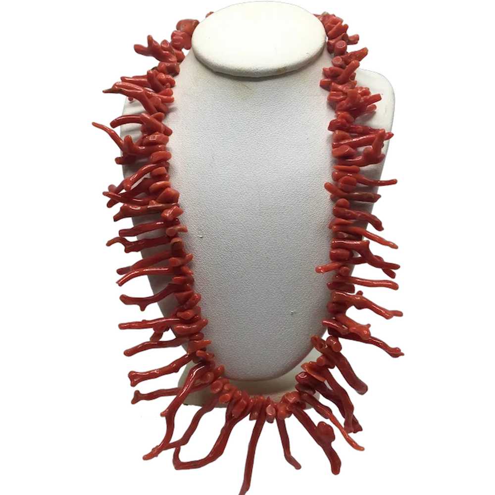 Vintage Natural Branch Coral Choker Necklace - image 1