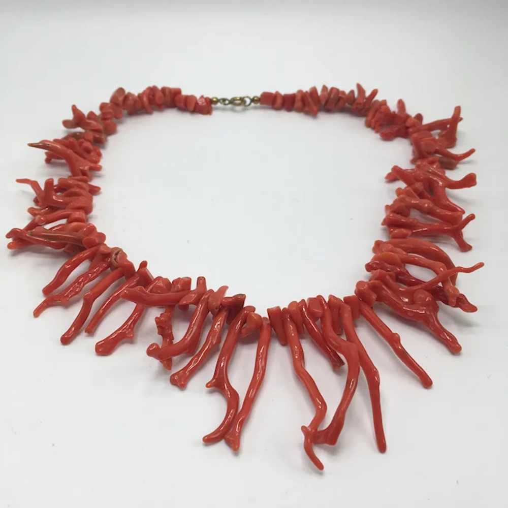 Vintage Natural Branch Coral Choker Necklace - image 2