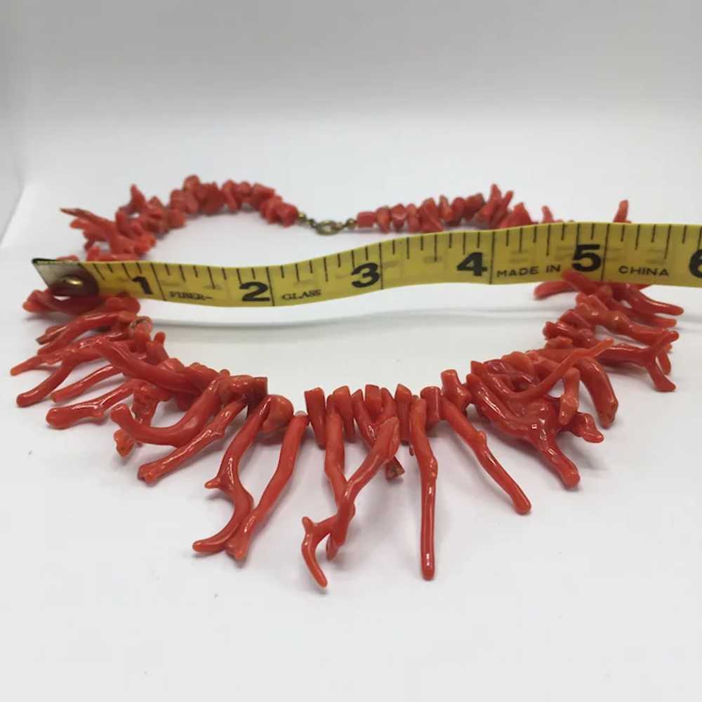 Vintage Natural Branch Coral Choker Necklace - image 3