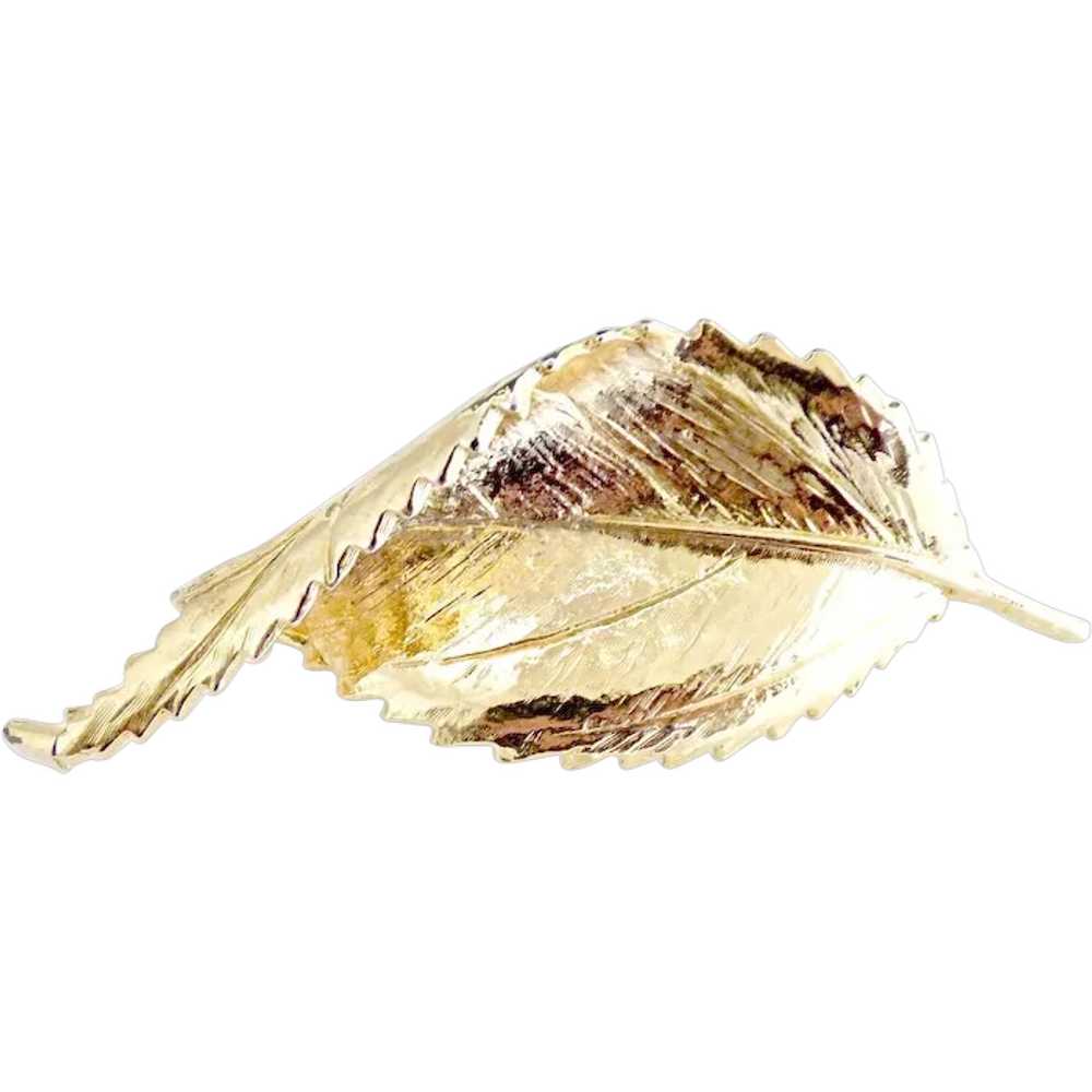 Autumn leaf brooch gold textured design - image 1