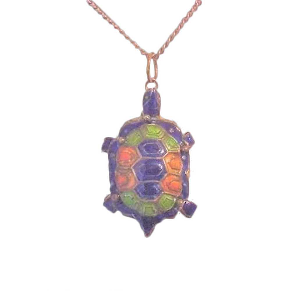 Vintage Chinese Enamel Turtle Necklace - image 1