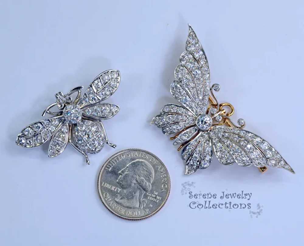 Edwardian Platinum Diamond Butterfly Bee Brooch A… - image 5