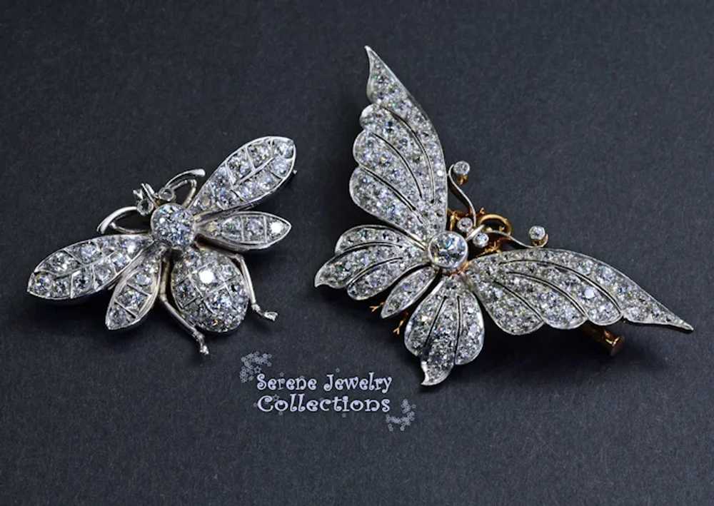Edwardian Platinum Diamond Butterfly Bee Brooch A… - image 8