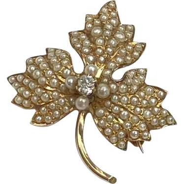 Victorian Brooch Grape Leaf Seed Pearl & Diamond 1
