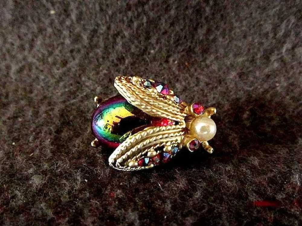 Dodds Jewelry Beetle Pin - image 3