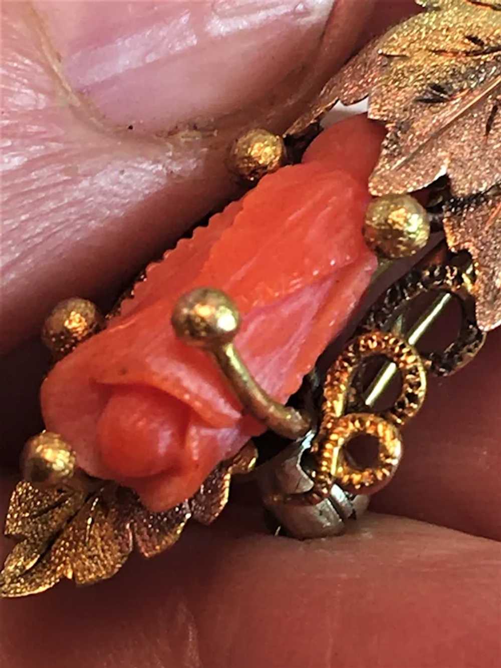 Victorian 14K Gold Salmon Coral Carved Rose Leave… - image 3