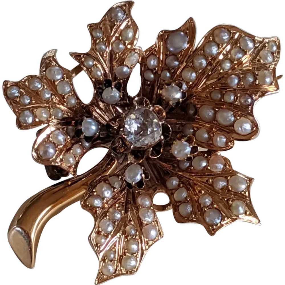 Antique 15k Diamond Pearl Brooch - image 1