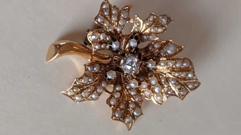 Antique 15k Diamond Pearl Brooch - image 2