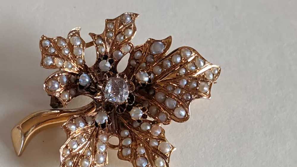 Antique 15k Diamond Pearl Brooch - image 5