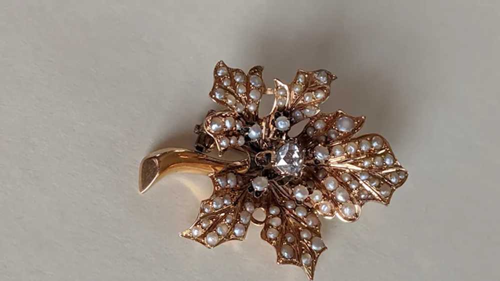 Antique 15k Diamond Pearl Brooch - image 7