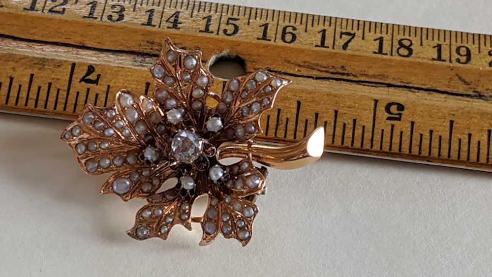 Antique 15k Diamond Pearl Brooch - image 8