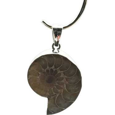 Ammonite Fossil Pendant - Sterling Silver