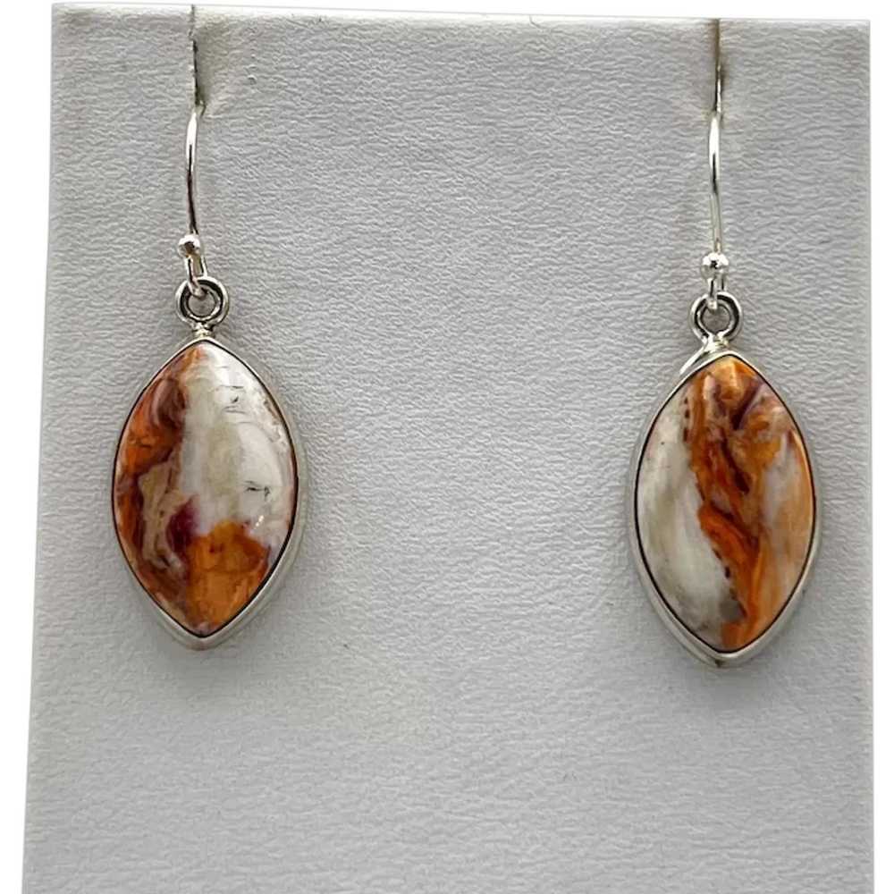 Lion's Paw Shell Earrings - Sterling Silver - image 1