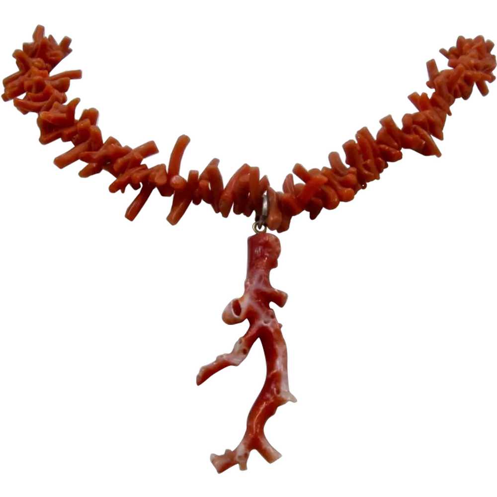 Genuine White Branch Coral Necklace - Ruby Lane
