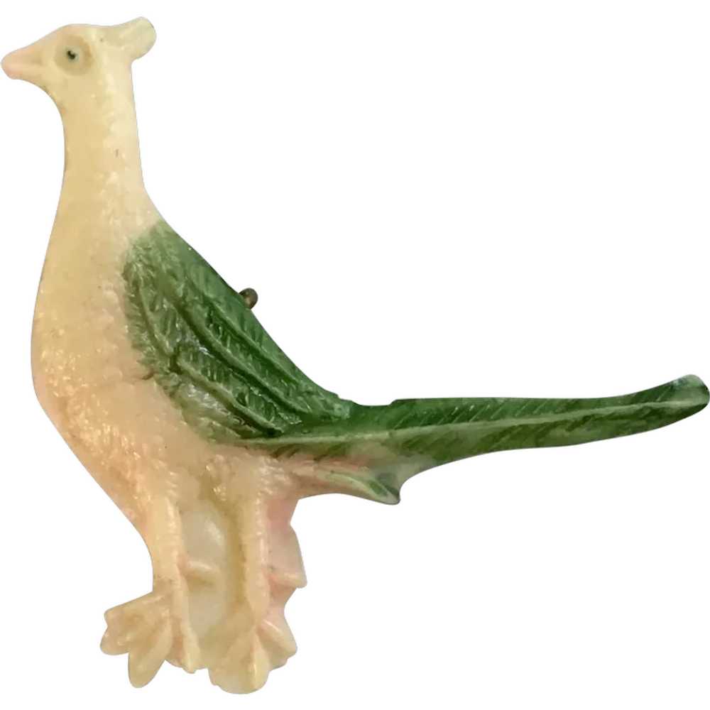 Vintage Celluloid Charm Pheasant Bird Early Plast… - image 1