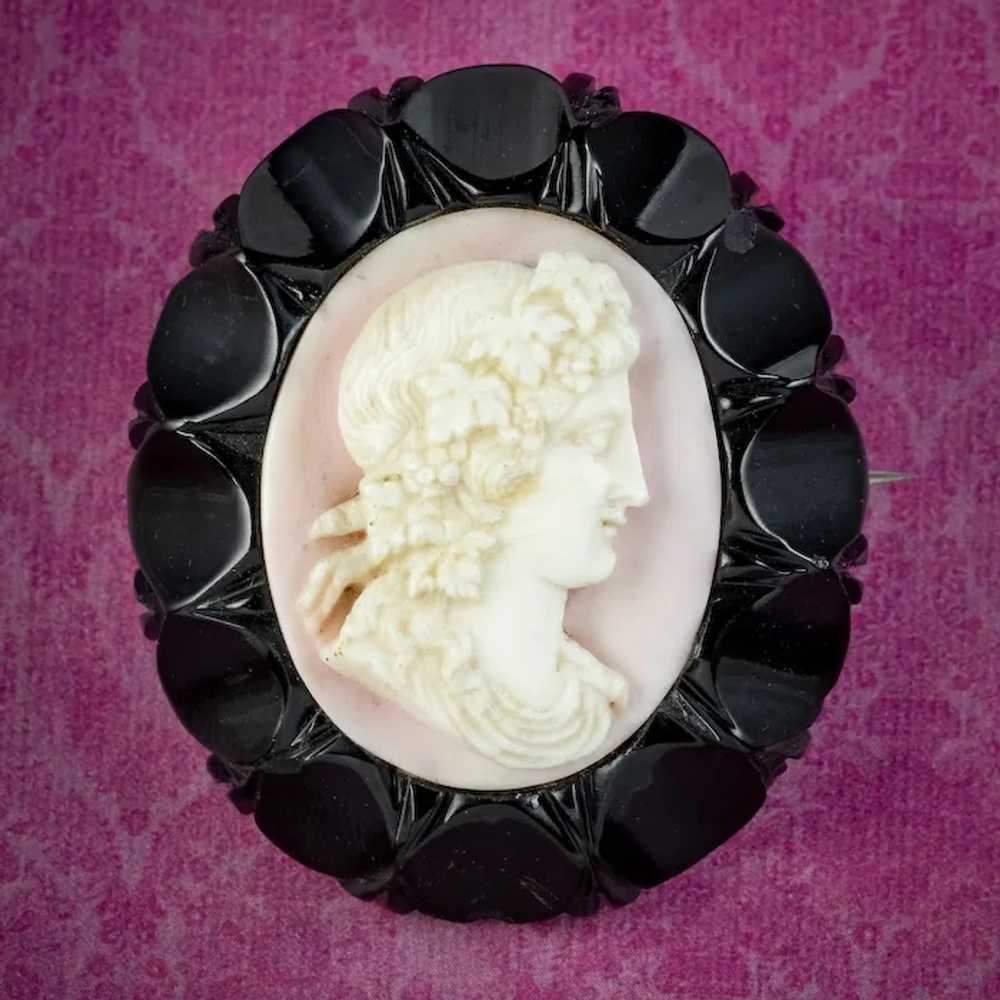 Antique Victorian Coral Cameo Brooch Whitby Jet F… - image 3