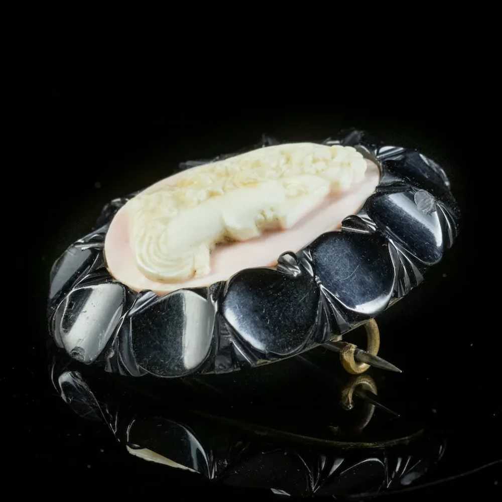 Antique Victorian Coral Cameo Brooch Whitby Jet F… - image 4