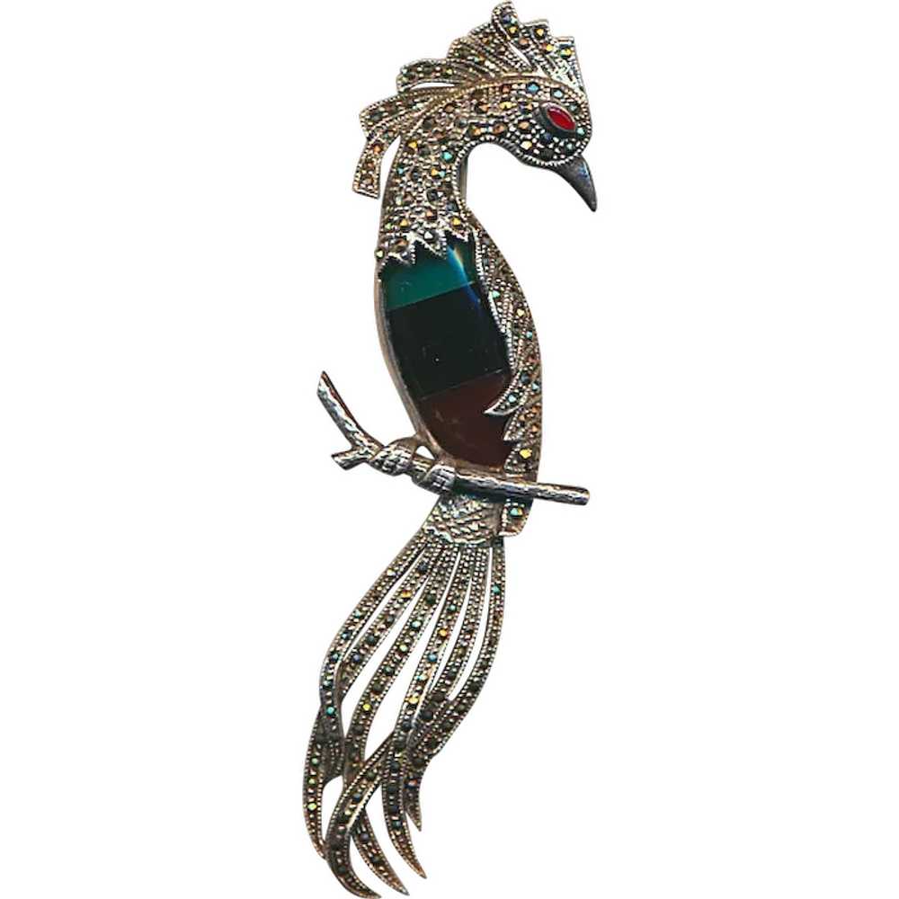 Big Sterling Silver Marcasite Bird of Paradise Pi… - image 1