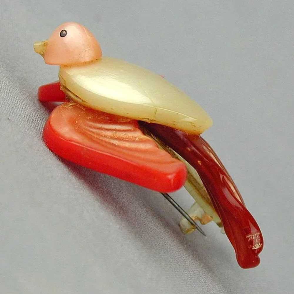 Old Celluloid Figural Bird Pin Multi Color Book P… - image 4