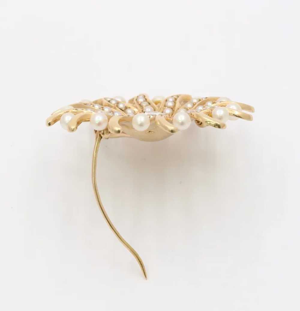 Antique 14k Diamond and Pearl Sunburst Brooch Pin (A2569) - Summit Jewelers, 7821 Big Bend Blvd., Webster Groves, MO, 63119