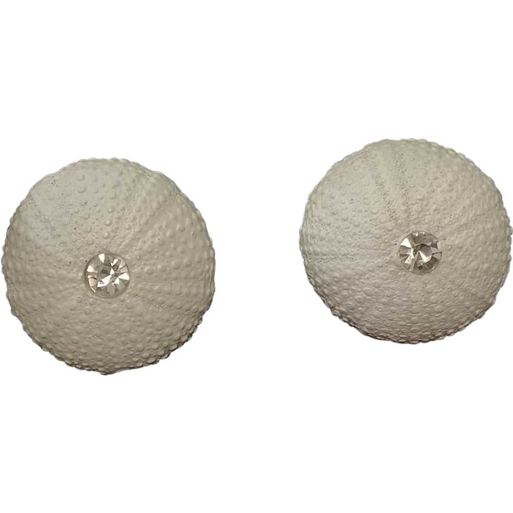1980’s Designer ‘Ugo Correani’ Sea Urchin Earrings - image 1