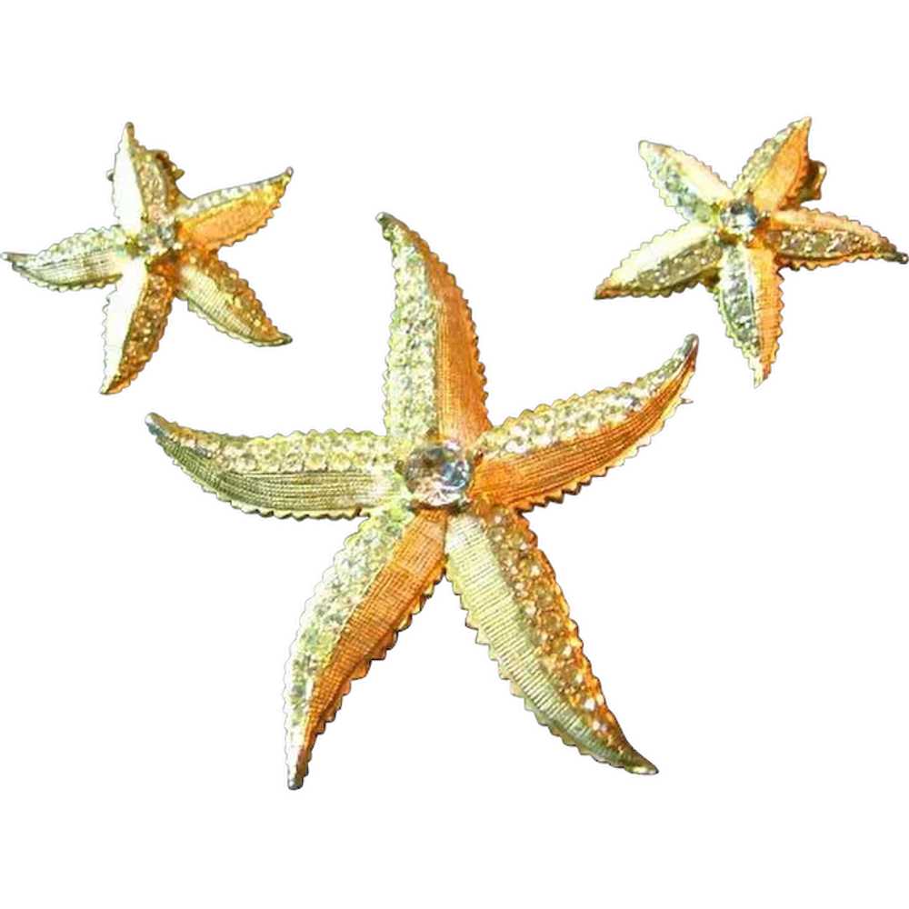 Signed Weiss Vintage Starfish Brooch/Pin & Earrin… - image 1