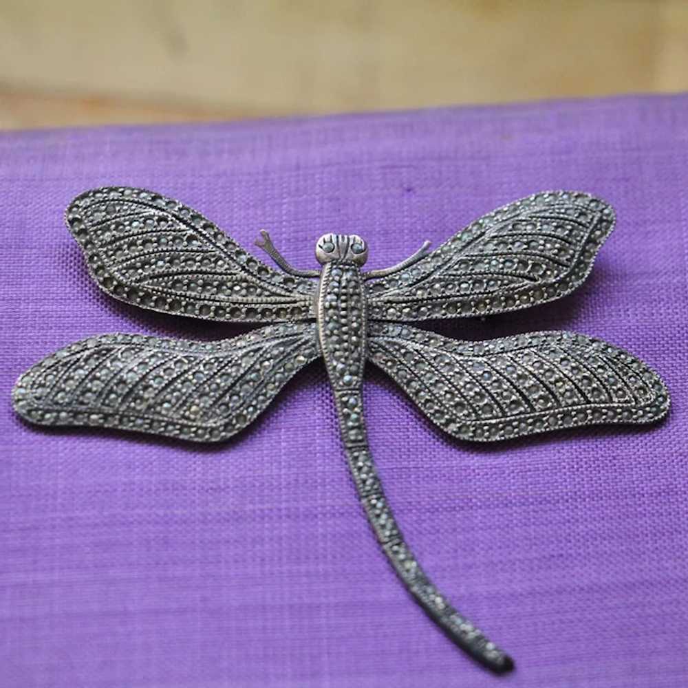 Extra Large Marcasite Sterling Silver Dragonfly B… - image 3