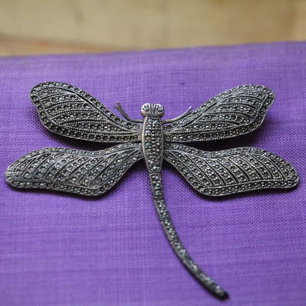 Extra Large Marcasite Sterling Silver Dragonfly B… - image 4