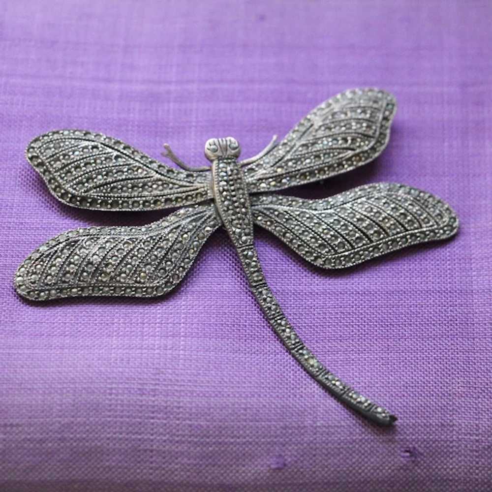 Extra Large Marcasite Sterling Silver Dragonfly B… - image 6