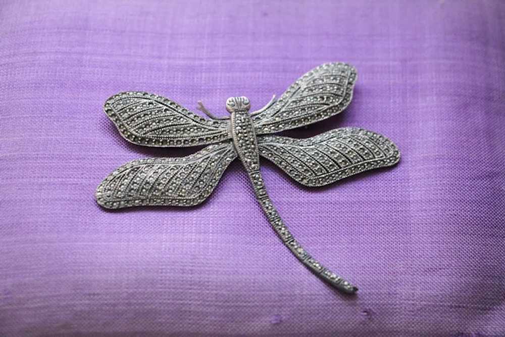 Extra Large Marcasite Sterling Silver Dragonfly B… - image 7