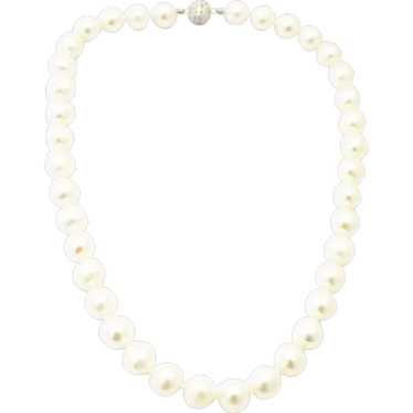 Amazing 12mm Cultured White Freshwater Pearl Ster… - image 1