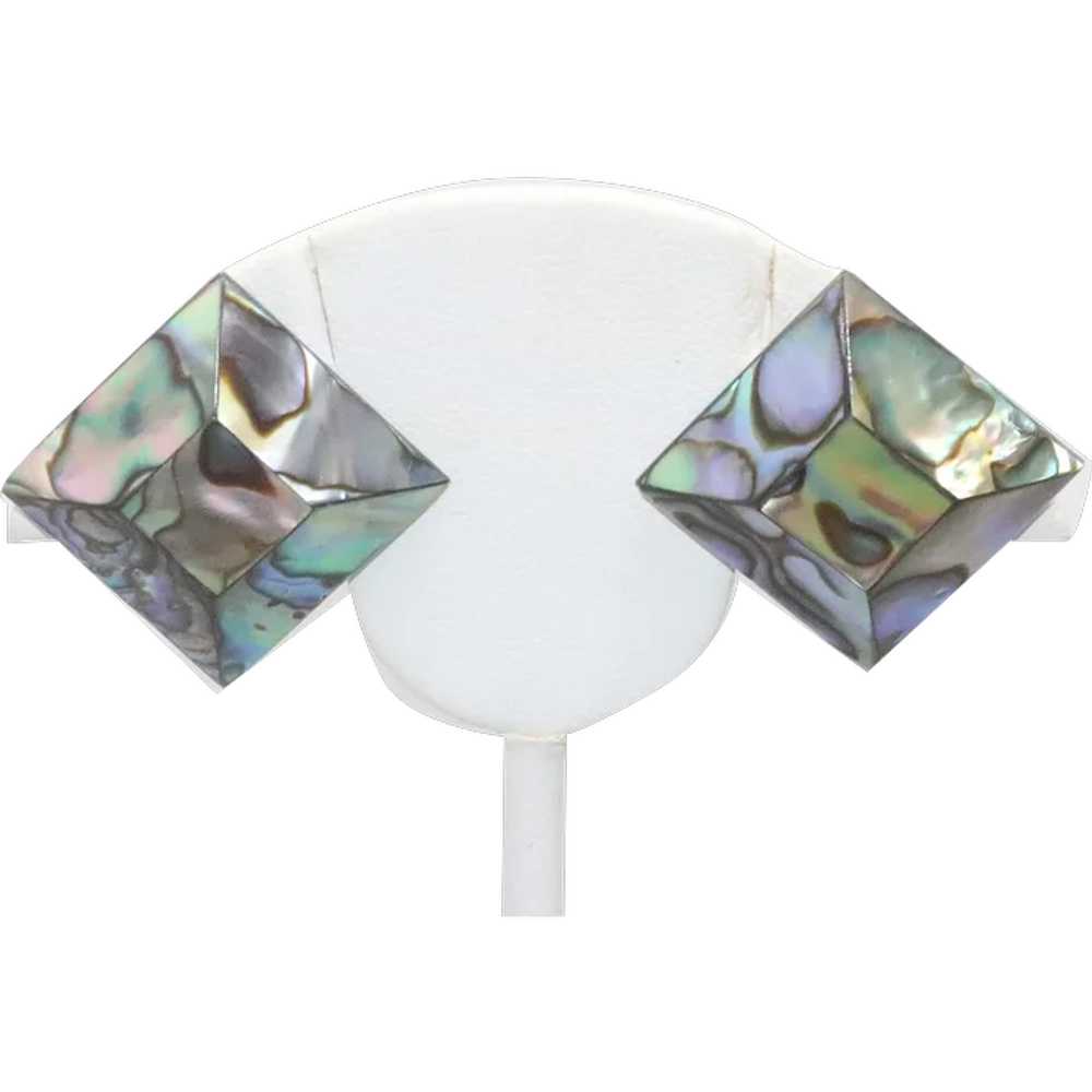 Vintage Costume Mother Of Pearl Clip On Earrings - image 1