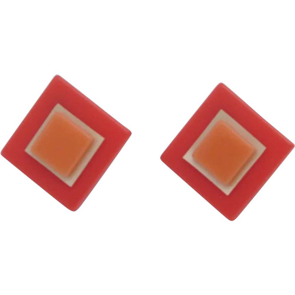 1980s Three Dimensional Plastic Earrings - image 1