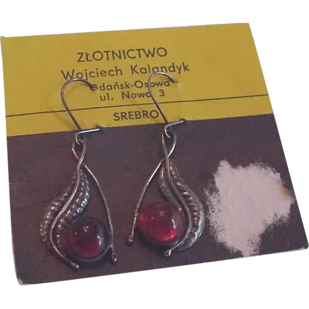 Baltic Amber Earrings  on Original Card - image 1