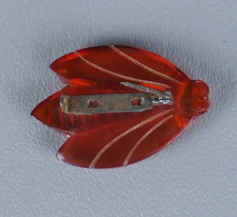 Vtg Red - Orange Clear Carved Plastic Cicada Bug … - image 2