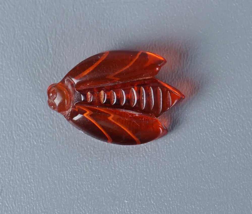 Vtg Red - Orange Clear Carved Plastic Cicada Bug … - image 3