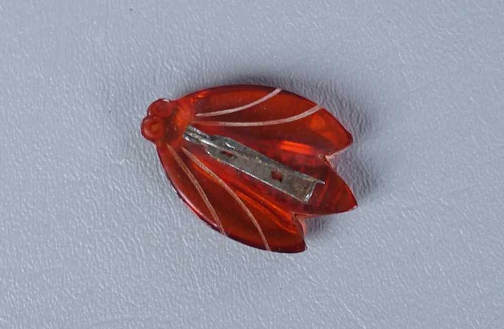 Vtg Red - Orange Clear Carved Plastic Cicada Bug … - image 4